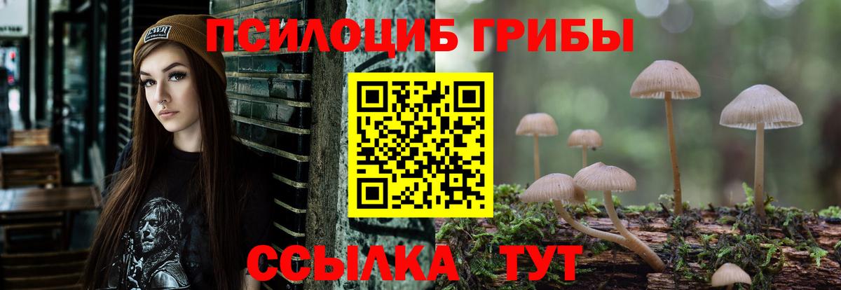 Галлюциногенные грибы Cubensis  Галлюциногенные грибы Magic Shrooms  Новодвинск  Вход с VPN 